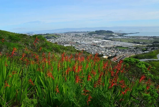 A Day of Adventure: San Bruno Outdoor Activities